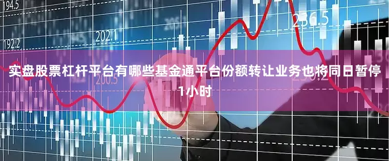 实盘股票杠杆平台有哪些基金通平台份额转让业务也将同日暂停1小时