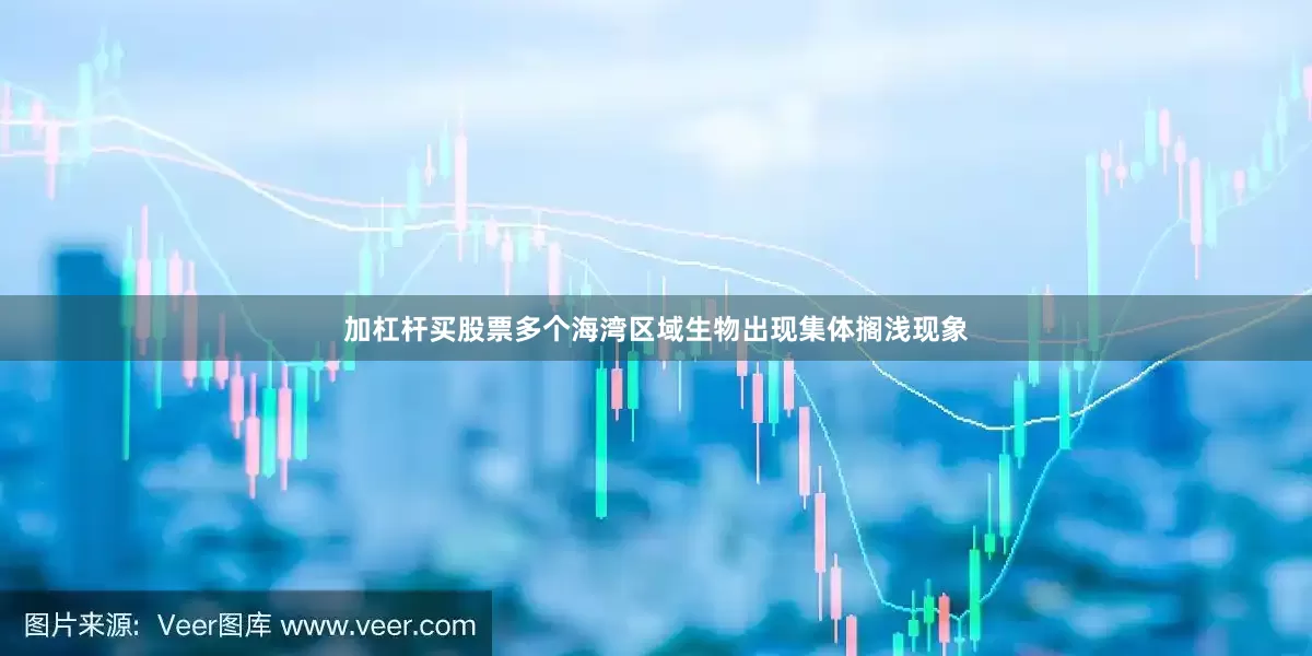 加杠杆买股票多个海湾区域生物出现集体搁浅现象