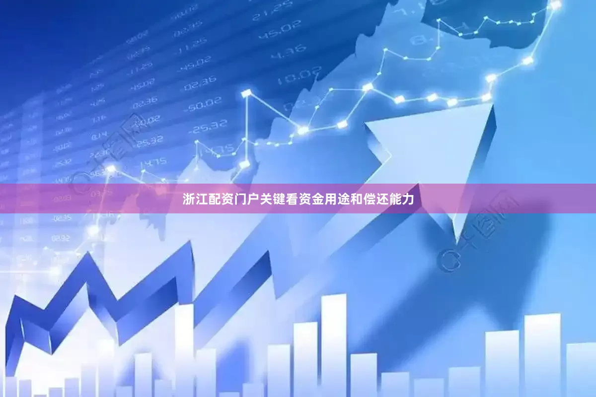 浙江配资门户关键看资金用途和偿还能力