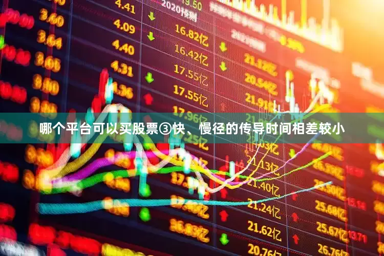 哪个平台可以买股票③快、慢径的传导时间相差较小